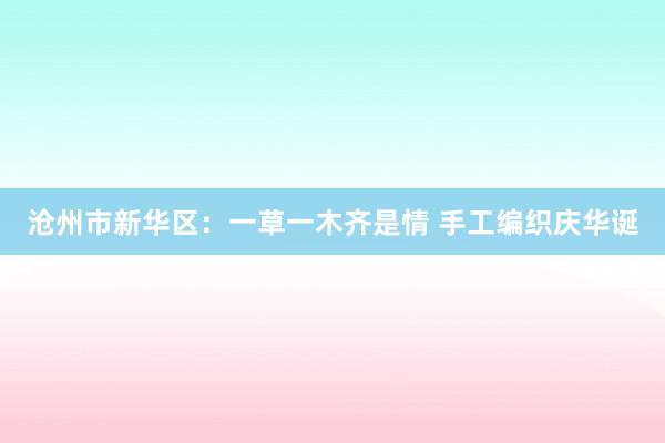 沧州市新华区：一草一木齐是情 手工编织庆华诞