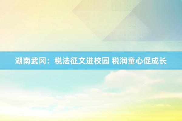 湖南武冈：税法征文进校园 税润童心促成长
