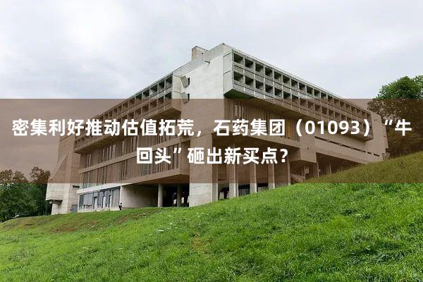 密集利好推动估值拓荒，石药集团（01093）“牛回头”砸出新买点？