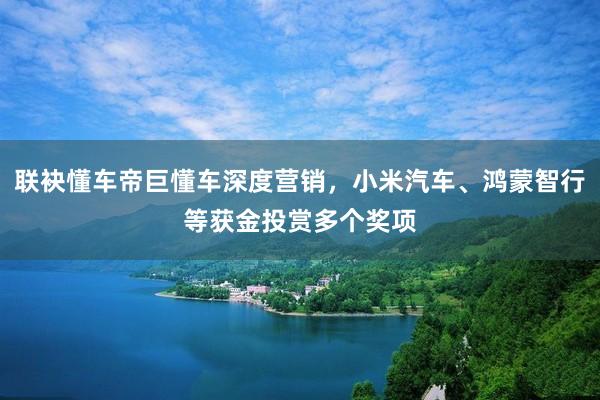 联袂懂车帝巨懂车深度营销，小米汽车、鸿蒙智行等获金投赏多个奖项