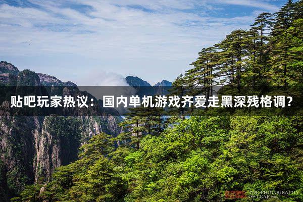 贴吧玩家热议：国内单机游戏齐爱走黑深残格调？