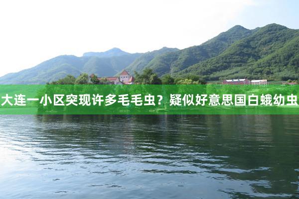 大连一小区突现许多毛毛虫？疑似好意思国白蛾幼虫