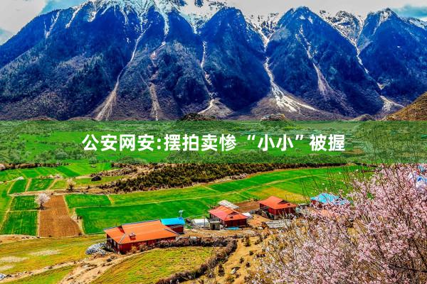 公安网安:摆拍卖惨 “小小”被握