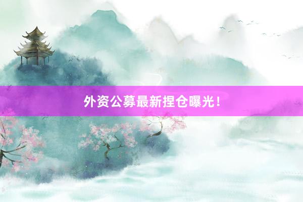 外资公募最新捏仓曝光！
