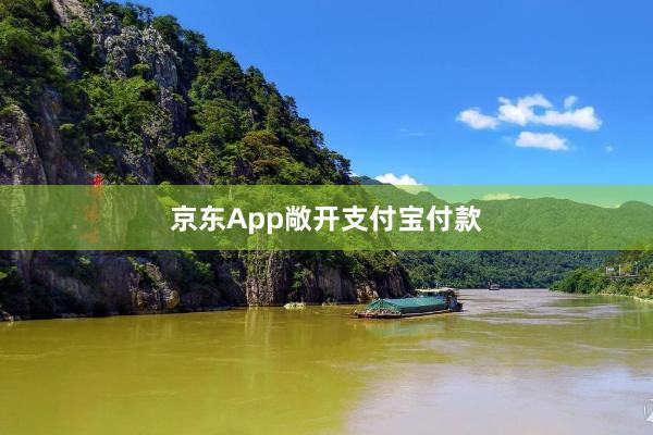 京东App敞开支付宝付款
