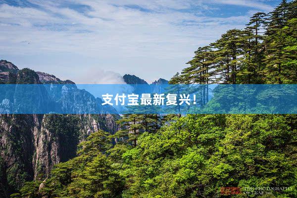 支付宝最新复兴！