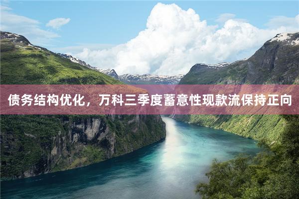 债务结构优化，万科三季度蓄意性现款流保持正向