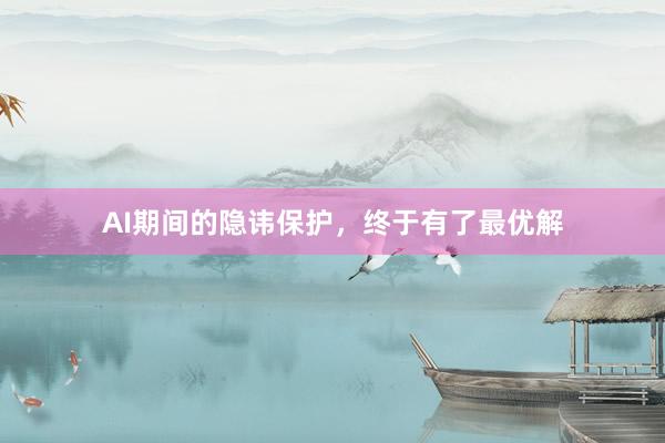 AI期间的隐讳保护，终于有了最优解