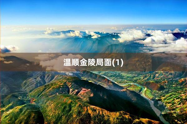 温顺金陵局面(1)