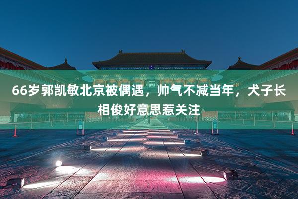 66岁郭凯敏北京被偶遇，帅气不减当年，犬子长相俊好意思惹关注