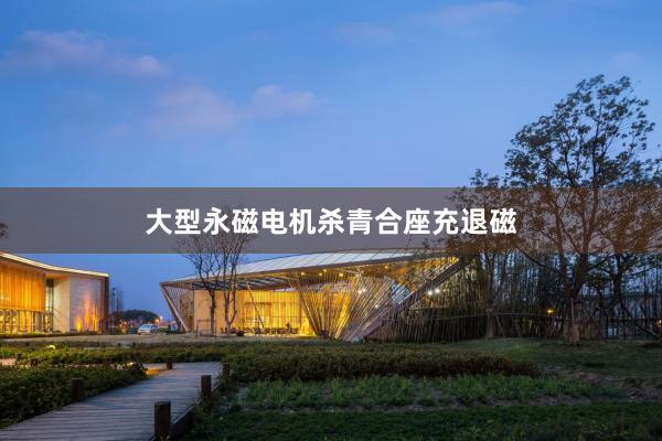 大型永磁电机杀青合座充退磁