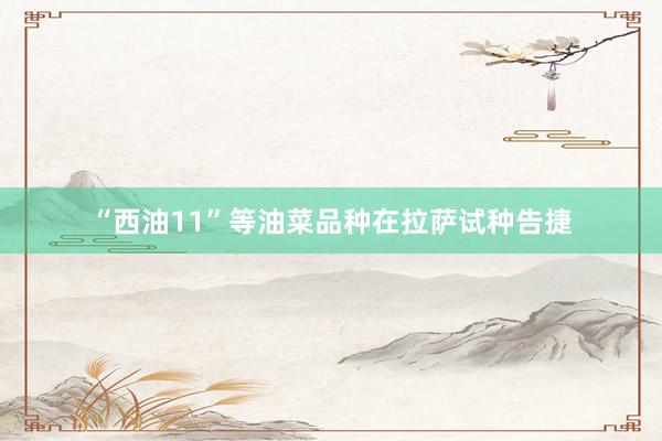 “西油11”等油菜品种在拉萨试种告捷