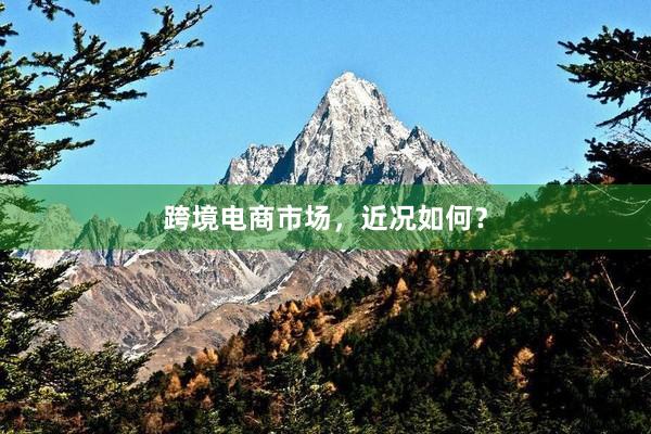 跨境电商市场，近况如何？