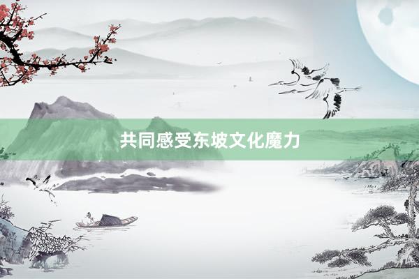 共同感受东坡文化魔力