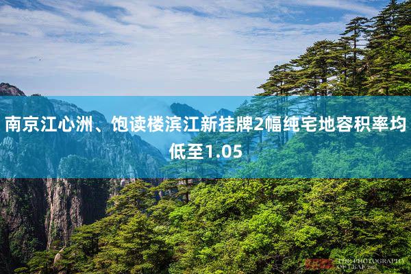 南京江心洲、饱读楼滨江新挂牌2幅纯宅地容积率均低至1.05